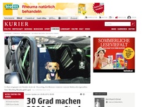 Bild zum Artikel: 30 Grad machen 3300 Euro Strafe