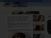 Bild zum Artikel: Seine Freundin sagt, der Hund muss weg. Da postet er diese Tieranzeige - Einfach genial.