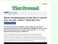 Bild zum Artikel: Dieser Hundebesitzer bricht fast in Lachen aus, als sein „böser“ Hund dies tut.