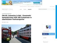 Bild zum Artikel: FW-GE: Schweine in Not - Feuerwehr Gelsenkirchen hilft 500 Schweinen in überhitztem Tiertransporter