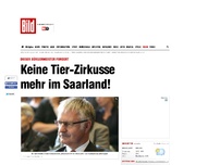 Bild zum Artikel: Bürgermeister fordert - Keine Tier-Zirkusse mehr im Saarland!