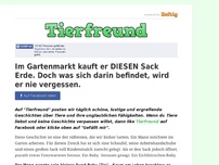 Bild zum Artikel: Im Gartenmarkt kauft er DIESEN Sack Erde. Doch was sich darin befindet, wird er nie vergessen.