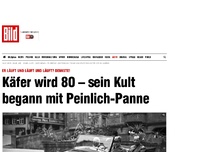 Bild zum Artikel: Weltkarriere - Käfer wird 80 – Kult begann mit Panne