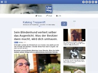 Bild zum Artikel: Sein Blindenhund verliert selber das Augenlicht. Was der Besitzer dann macht, wird dich umhauen.