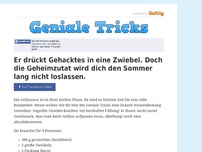 Bild zum Artikel: Er drückt Gehacktes in eine Zwiebel. Doch die Geheimzutat wird dich den Sommer lang nicht loslassen.