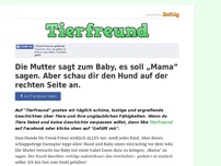 Bild zum Artikel: Die Mutter sagt zum Baby, es soll „Mama” sagen. Aber schau dir den Hund auf der rechten Seite an.