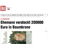 Bild zum Artikel: In 13 Metern Höhe - Ehemann versteckt 200000 Euro auf Baum