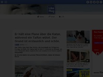 Bild zum Artikel: Er hält eine Plane über die Katze, während ein Taifun wütet. Der Grund ist erstaunlich und schön.