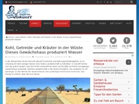 Bild zum Artikel: Kohl, Getreide und Kräuter in der Wüste: Dieses Gewächshaus produziert Wasser