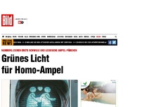 Bild zum Artikel: In Hamburg - Grünes Licht für neue Homo-Ampel