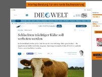 Bild zum Artikel: Tierschutz: Schlachten trächtiger Kühe soll verboten werden