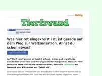 Bild zum Artikel: Was hier rot eingekreist ist, ist gerade auf dem Weg zur Weltsensation. Ahnst du schon etwas?