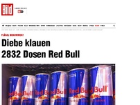 Bild zum Artikel: Flügel bekommen? - Diebe klauen 2832 Dosen Red Bull