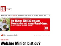 Bild zum Artikel: Mach den Test! - Welcher Minion bist du?