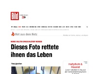 Bild zum Artikel: Zum Tode geweihte Hunde - Dieses Foto rettete ihnen das Leben