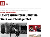 Bild zum Artikel: Verurteilte Tierquälerin - Ex-Dressurreiterin Wels von Pferd getötet