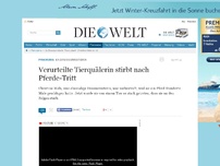 Bild zum Artikel: Ex-Dressurreiterin: Verurteilte Tierquälerin stirbt nach Pferde-Tritt