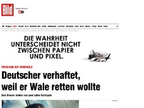 Bild zum Artikel: Treibjagd auf Grindwale - Deutscher verhaftet, weil er Wale retten wollte