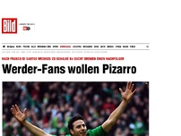 Bild zum Artikel: Di-Santo-Nachfolger - Werder-Fans wollen Pizarro