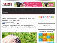 Bild zum Artikel: Zuchtpapiere – das Papier nicht wert, auf dem sie gedruckt sind?