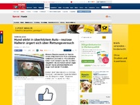 Bild zum Artikel: Vorfall in Jülich - Hund stirbt in überhitztem Auto - reulose Halterin ärgert sich über Rettungsversuch