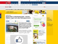 Bild zum Artikel: Vorfall in Jülich - Hund stirbt in überhitztem Auto - reulose Halterin ärgert sich über Rettungsversuch