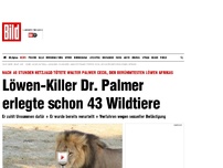 Bild zum Artikel: Wer ist dieser Jäger? - Löwen-Killer Dr. Palmer erlegte 43 Wildtiere