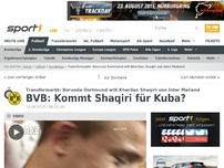 Bild zum Artikel: Borussia Dortmund baggert weiter an Shaqiri