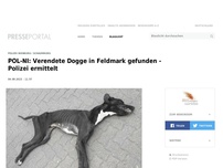 Bild zum Artikel: POL-NI: Verendete Dogge in Feldmark gefunden - Polizei ermittelt