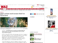 Bild zum Artikel: Erster Wolf im Sauerland gesichtet