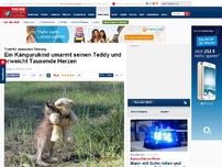 Bild zum Artikel: Trost für verwaistes Tierbaby - Ein Kängurukind umarmt seinen Teddy und erweicht tausende Herzen