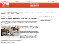 Bild zum Artikel: Land sucht Quartiere für vernachlässigte Pferde