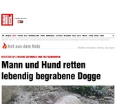 Bild zum Artikel: Besitzer festgenommen - Mann und Hund retten vergrabene Dogge
