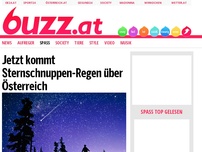 Bild zum Artikel: Jetzt kommt Sternschnuppen-Regen über Österreich