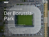 Bild zum Artikel: Stadion-Multimedia-Reportage: Der Borussia-Park in Mönchengladbach