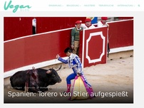 Bild zum Artikel: Spanien: Torero von Stier aufgespießt