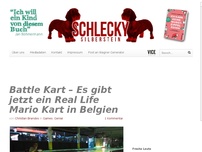 Bild zum Artikel: Battle Kart – Es gibt jetzt ein Real Life Mario Kart in Belgien