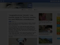 Bild zum Artikel: 'Ungewöhnlicher Hündin' Lisa musste lange im Tierheim warten, bis zwei Mädchen vorbeikamen.