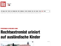 Bild zum Artikel: Fremdenhass in S-Bahn - Männer urinieren auf ausländische Kinder