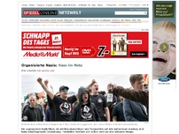 Bild zum Artikel: Organisierte Nazis: Wie im Netz der Hass gesät wird