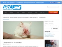 Bild zum Artikel: Helfen Sie, vermeidbare Chemikalientests an Tieren in der EU zu beenden!