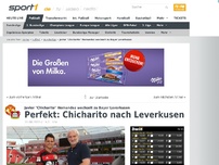 Bild zum Artikel: Chicharito einig mit Leverkusen
