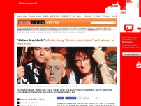 Bild zum Artikel: 'Aktion Arschloch!': Ärzte-Song 'Schrei nach Liebe' soll wieder in die Charts
