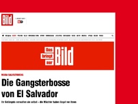 Bild zum Artikel: Ihre eigenen Wärter - Die Gangsterbosse von El Salvador