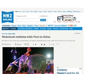 Bild zum Artikel: Niederlande verbieten wilde Tiere im Zirkus