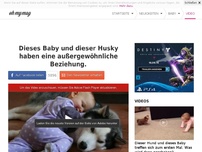 Bild zum Artikel: Dieses Baby und dieser Husky haben eine außergewöhnliche Beziehung.