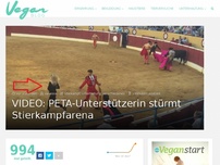 Bild zum Artikel: VIDEO: PETA-Unterstützerin stürmt Stierkampfarena