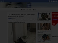 Bild zum Artikel: 14 Situationen, die nur für Katzen einen Sinn ergeben.