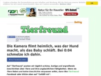 Bild zum Artikel: Die Kamera filmt heimlich, was der Hund macht, als das Baby schläft. Bei 0:04 schmelze ich dahin.