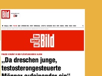 Bild zum Artikel: De Maizière im TV - »Flüchtlinge fahren im Taxi durch Deutschland
